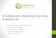 A Collaborative Maternity Care Clinic in Nelson, BC · 2016. 4. 8. · Nelson –Midwifery Perspective •Long history of unregulated midwifery •Registered Midwives since 1996 –20