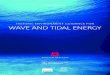 HISTORIC ENVIRONMENT GUIDANCE FOR WAVE AND TIDAL ENERGY · 2019. 11. 27. · wave and tidal energy development is fundamental to decision-making by all parties. • The effects of