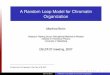 A Random Loop Model for Chromatin Organizationpawlowsk/Delta07/Slides_bohn.pdf · Manfred Bohn Research Training Group "Simulational Methods in Physics" Institute of Theoretical Physics