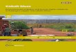 Cobalt blues - Centre for Research on Multinational Corporations€¦ · Cobalt blues Environmental pollution and human rights violations in Katanga’s copper and cobalt mines April