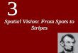 Spatial Vision: From Spots to Stripes...•The visual system breaks down images into a vast number of components; each is a sine wave grating with a particular spatial frequency. This