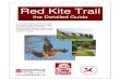 The Red K e T a Red Kite Trail - England, Scotland and Ireland. Northern Kites was the project that