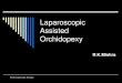 Laparoscopic Assisted Orchodopexy...(Vaysse, 1994; Esposito et al., 2000). Laparoscopic exploration must be performed only where a non- palpable testis is identified. If laparoscopic