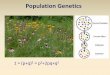 Population Genetics - David Boglerdavidbogler.com/Evolution-Lectures/Lecture 07b... · An allele can be dominant, recessive, or co-dominant with the others. If the two alleles are