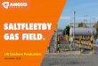 Investor Presentation UK Onshore Production€¦ · Image of Saltfleetby site B with proposed new processing facilities highlighted. 3 Stable gas/condensate production from large