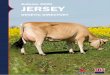Autumn 2020 JERSEY...Dtr Fer t -2.5 Below Ave Lifespan (Days) 12 Above Ave SCC -4 Improver Mas titis Non Improver Temperament Above Ave Milking Speed Above Ave Locomotion 0.10 Above