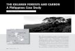 THE KALAHAN FORESTS AND CARBON A Philippines Case Studyiwgia.org/images/publications/IA_1-2009_Kalahan.pdf · 2019. 5. 25. · KEF’s own forester, Tamano Bugtong, an Ikalahan from