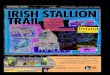 Irish studs and stallions Stallion feeS 2015 Stallion Show daily at 11:30am and 2:30pm during the Stallion