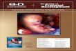 The Biology of Prenatal Development Video Script 4-26-2006 English.pdf · The Biology of Prenatal Development Chapter 1 – Introduction The dynamic process by which the single-cell