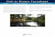 Fish in Rivers Factsheetwfdfish.ie/wp-content/uploads/2019/10/SWRBD_Bride_2018-1.pdf · 19 Bride (Collatrim) River Ballymurphy Crossroads TEF (Handset) - 25/09/2018 20 Bride (Collatrim)