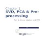 Chapter 1 SVD, PCA & Pre- processing · SVD, PCA & Pre-processing Part 1: Linear algebra and SVD. DMM, summer 2015 Pauli Miettinen ... • It gives us optimal solutions to least-squares