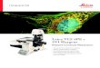 Leica TCS SP8 + SVI Huygens TCS SP8/Brochures/Le… · GSD STED HyD + Deconvolution SP8 0 nm 100 nm 200 nm 300 nm True Super-Resolution High Resolution Imaging Confocal Microscopy
