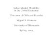 Labor Market Flexibility in the Global Economy: The cases ...€¦ · Labor Market Flexibility in the Global Economy: The cases of Chile and Ecuador Miguel F. Ricaurte University