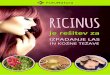 New RICINUS - FutuNatura.si · 2020. 3. 11. · Olje pomaga tudi v boju proti okužbam, kot je folikulitis. ki povzroča vnetje lasnih mešičkov. Izjemno visoka vsebnost ricinolne
