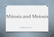 New Mitosis and Meiosis - Staff Portal Camas School Districtstaff.camas.wednet.edu/.../2012/06/Mitosis-and-Meiosis1.pdf · 2016. 11. 30. · Mitosis and Meiosis Chapters 8 & 10 