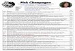 Pink Champagne - Western Line Champagne.pdf · Music: “Pink Champagne” Nick Lopez Approx 3.42 mins Count In: 32 counts from start of track, dance begins on vocals. Approx 110