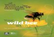 Your wild bee - Wild About Gardenswildaboutgardens.org.uk/sites/default/files/2018-08/Wild about gardens... · linked to declining bee numbers. This is bad news for us and for them