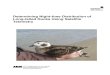 Determining Night-time Distribution of Long-tailed Ducks ... reports/4823.pdfpopulation (del Hoyo, et al. 1992). The land-based Christmas Bird Count on Nantucket Island, coordinated