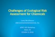 Challenges of Ecological Risk Assessment for Chemicals · 2016. 10. 24. · • For some chemicals, “Effects Analysis” relies on molecular-level responses • AhR binding •