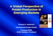A Global Perspective of Potato Production in Emerging Markets presentations... · Strategy: Innovations for linking small-scale potato producers to market. Papa Andina Initiative