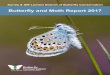 Surrey & SW London Branch of Butterfly Conservationbutterfly-conservation.org/sites/default/files/... · 2018. 8. 31. · 6 Surrey & SW London Branch, Butterfly and Moth Report 2017