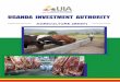 UGANDA INVESTMENT AUTHORITY€¦ · An estimated 90% of the national cattle herd is kept under pastoral and mixed small holder farming systems. Commercial beef ranching is limited