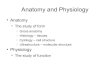 Anatomy and Physiology - Dr. Michael Belanich...Anatomy and Physiology Anatomy The study of form Gross anatomy Histology – tissues Cytology – cell structure Ultrastructure –