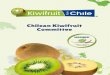 acordeon kiwi(h)OR a4pdf - comitedelkiwi.cl · Chilean Kiwifruit Committee The Kiwifruit Committee is an organization of Voluntary Participation. It was founded in 2009 by the joint