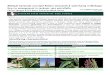 Multiple herbicide-resistant Palmer amaranth & waterhemp in ......Multiple herbicide-resistant Palmer amaranth & waterhemp Keys to successful management in soybean (continued) Financial