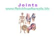 Joints [modalità compatibilità] · - flexion - extension - hyperextension • Bone surfaces are slightly curved • Side to side movement only • Rotation prevented by ligaments