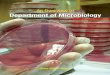 An Overview of Department of Microbiology · ICT for Malaria ICT for Filaria ICT for Dengue Others MICROSCOPY CSF Cytology Skin Scraping for fungus Gram's stain AFB stain KLB Stain