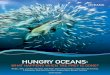 HUNGRY OCEANS...themselves while their chicks starved to death.” (Boersma et al. 2008) When long-lived animals like whales go hungry, the next generation is at risk. Predators are