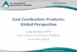 Coal Combustion Products: Global PerspectiveCoal Combustion Products: Global Perspective Craig Heidrich, ADAA Hans-Joachim Feuerborn, ECOBA & Anne Weir, CIRCA 2013 World of Coal Ash