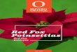 Red Fox Poinsettias - Bill Moore & Co Poinsettias Red Fox 2018.pdfLlamativas nano-bracteas llamativas de color rojo brillante y tamaño medio. Ciatios bien desarrollados y duraderos