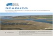 SEABUDS - The RSPB€¦ · RSPB, The Lodge, Sandy, Bedfordshire, SG19 2DL, UK SEABUDS Technical Report February 2018 Precipitating a SEA Change in the Beneficial Use of Dredged Sediment