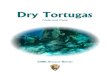 NNUAL REPORT Dry Tortugas€¦ · serves as an important resting spot for migrating birds; ... Worker (Seasonal) Maintenance Mechanic Supervisor Chief of Maintenance Director, SFNRC