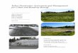 Tahoe Stormwater Assessment and Management for Urban …...This wetland was constructed specifically to treat stormwater runoff from the urban core of Tahoe City and was brought on-line