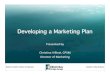 2011 Developing a Marketing Plan - Template.net · Why Develop a Marketing Plan Forces you to look internally – Fully understand results of past marketing decisions Forces you to