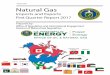 DOE/FE-0589 Natural Gas - Energy.gov...• In the first quarter of 2017, the U.S. imported 851.4 Bcf of natural gas. • A large majority of imports originated in Canada, continuing