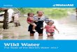 Wild Water - ReliefWeb · 2017. 3. 28. · a weight test for malnutrition, Amhara, Ethiopia. ©WaterAid/ Behailu Shiferaw Impact on… livelihoods Those living in rural areas who
