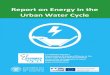 Report on Energy in the Urban Water Cycle - IIAMA€¦ · Hungary 448 372 373 368 351 313 317 . REPORT ON ENERGY IN THE URBAN WATER CYCLE 7 Iceland 0 0 0 1 1 0 0 Ireland 575 ... Petroleum