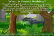 of . There is no exact definition of What is Forest ... · Shinrin-yoku in english, but it can be interpreted as taking in the forest atmosphere or luxuriating in the forest. Source: