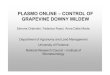 PLASMO ONLINE - CNRagromet-cost.bo.ibimet.cnr.it/fileadmin/cost718/...Simone Orlandini, Federica Rossi, Anna Dalla Marta Department of Agronomy and Land Management University of Florence