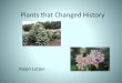 Plants that Changed History - Mountain Garden Club that Change… · Potato • Cultivation of potatoes in South America goes back 10,000 years • Potato is a native of Peru •
