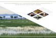 TeeB for WaTer anD WeTlanDs - The Economics of Ecosystems … · TeeB for WaTer anD WeTlanDs 1. The “nexus” between water, food and energy is one of the most fundamental relationships