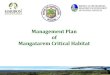 Management Plan of Mangatarem Critical Habitat · aktibidad ng mga natural na uri ng buhay ilang na naitala o ... Presensya ng iba pang likas-yaman na may pang-ekonomiya at pang-sosyal