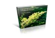 Sheng Ma · Web viewOriental Herbology Clinical Notes Table of Contents Oriental Herbology Clinical NotesDispel Wind Herbs Oriental Herbology Clinical 