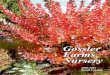 Gossler Farms Nursery...3 GOSSLER FARMS NURSERY Open WEDNESDAY THROUGH SATURDAY Year Round or by appointment 9:00 to 4:00 IF COMING A DISTANCE, CALL FOR AN APPOINTMENT DURING …