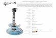 One for the Road - Gibson...Les Paul Signature Player Plus 2018 One for the Road New for 2018 the Les Paul Player Plus range has been designed specifically for the avid player who