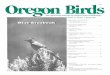 The quarterly journal of Oregon field ornithology€¦ · Volume 24, Number 1, Spring 1998 Oregon Breedin Birg d Atlas Project: 199 7 Fiel Seasodn 3 mjm Paul Adamus and Kit Larsen